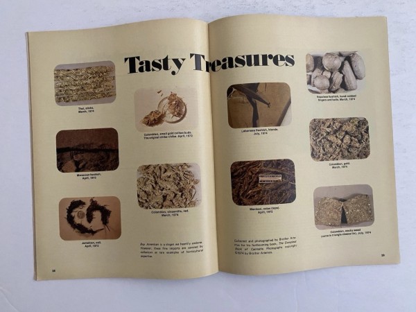 Tasty Treasures